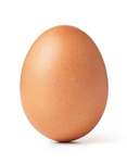 ze eggheads