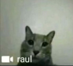 NOT lilah