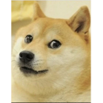 Doge Army Original Official