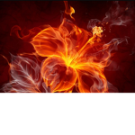 Yt fire
