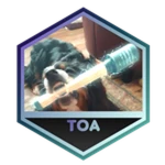 caption=Badge