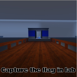 Capture the flags from the lab!
