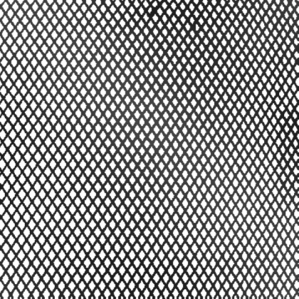 Dark Black Car Grill [TRANSPARENT] Roblox decal