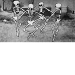 Small bones