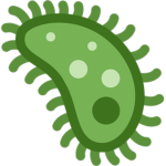 Germ's vault