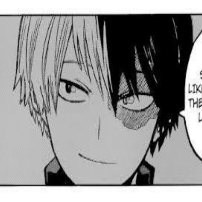 shoto todoroki manga Roblox decal