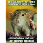 rat club:white tree