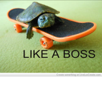 Turtle Fam! <3