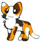 Warrior Kittens supreme