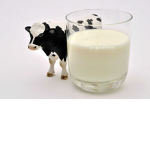 Cow Milk Factory