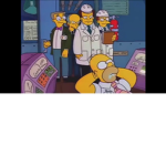 THE SIMPSONS FAN CUB