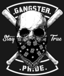 Spezialteam Gang