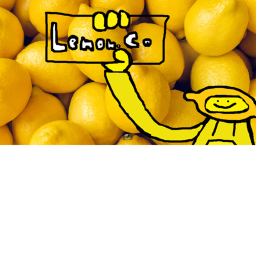 Lemon.Co