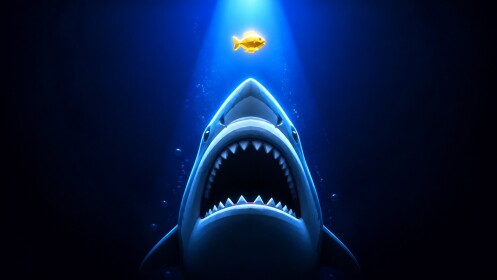Eet en word groter 🦈