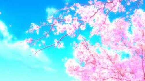 sakura park.