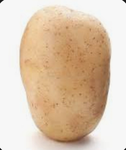 THE POTATO COLT
