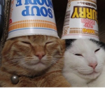 Sci Corp