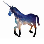 Galaxy Unicorn Fan Club!