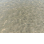 Lol Im only using this to give my lil bro robux XD