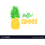 Sunset Summer group