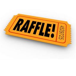 Robux Raffle