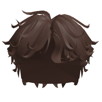 Surfer Boy Hair in Brown Roblox item