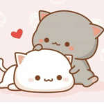 The Kitten Place!!!!