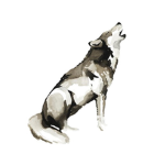 The Snow Wolf Club