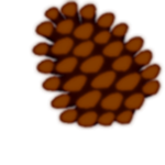 Pinecone Tactical Operations Group