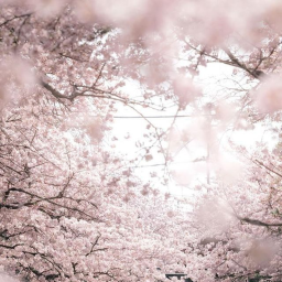 𐔌 ˖ ˚ ⌗ ✩ ˚ ꒷˳ ୨ৎ