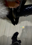 fashionwjulie