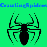 CrawlingSpiders