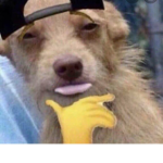 Karen gang gang