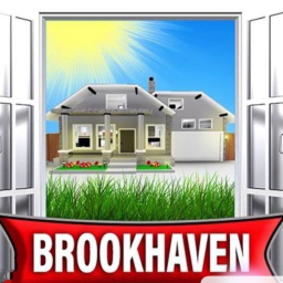 2020 brookhaven