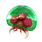 Official Ragingmetroid12 Group
