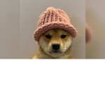 Calc dog :0