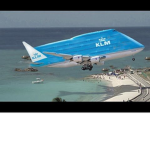 kiwis group yes