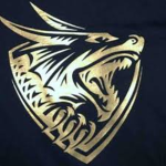 Driftwood Dragons baseball team