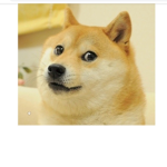 Delirious doge