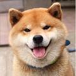 köpek severmisin jojuk adam