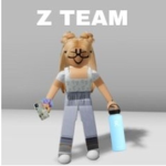 Zeeee team