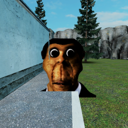 get chased by a obunga