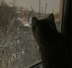 kitkaatss