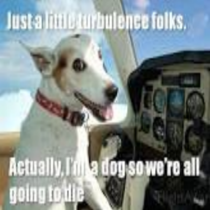 dog meme for roblox Roblox decal