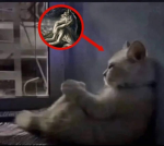 -#Cats