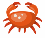 Craby clothes