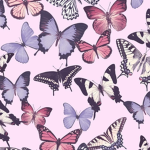 Icee Butterflies