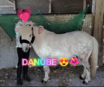 L'équitation la vie