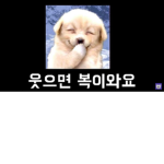 어둠에 그룹