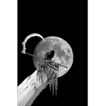 XxBlood_WolvesxX